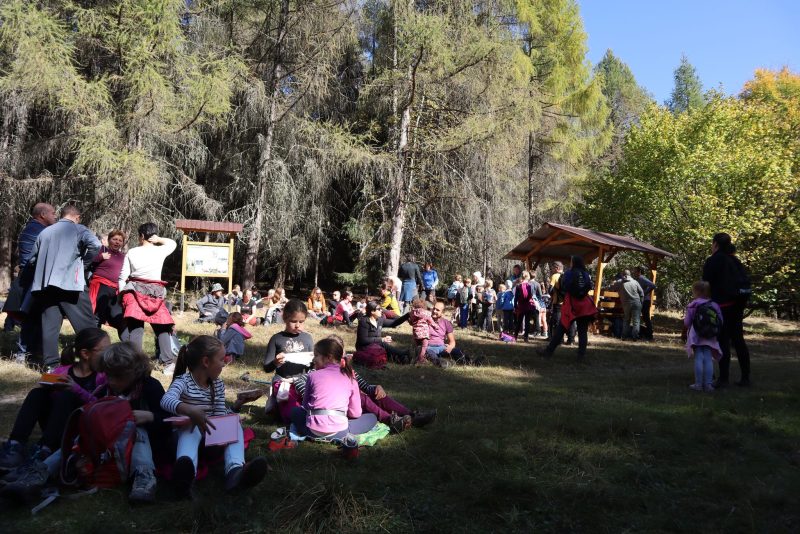Kisbarangolók gyerekprogram egy erdei tisztáson