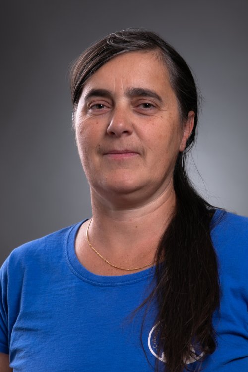 Daday Zsuzsa