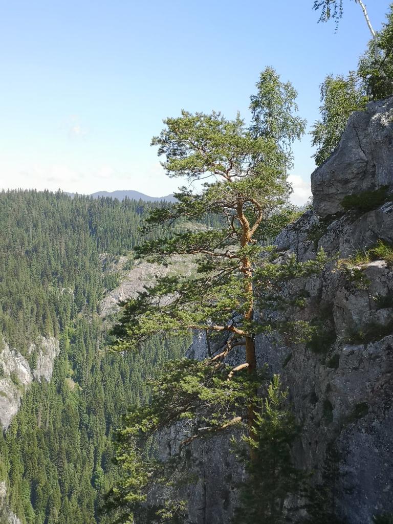 A Békás-szoros fentről nézve is varázslatos
