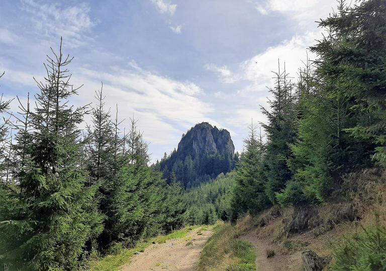 A menyasszonyi fátyol és a Csofronka esete