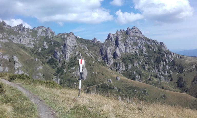 Csodálatos Csukás