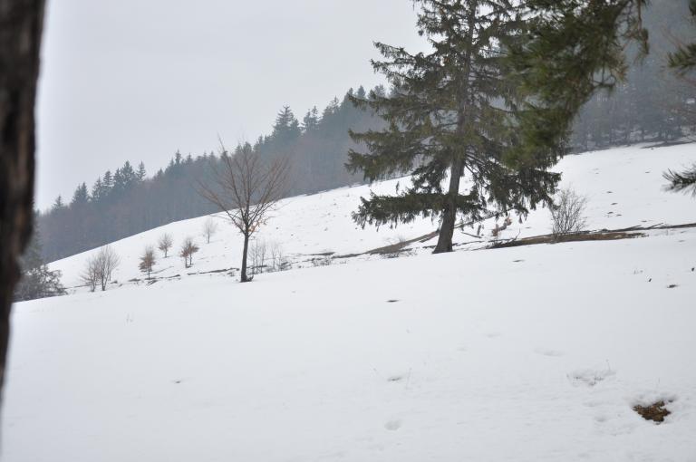 Évvégi túra a Nagysomlyóra