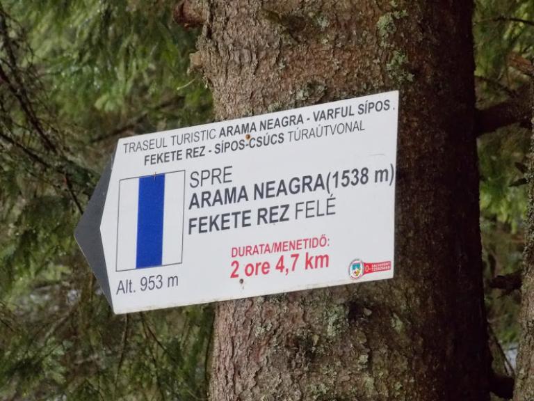 Fekete-Rez és Maros forrás túra