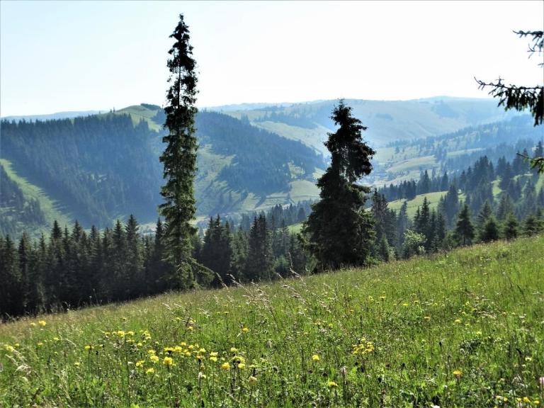 A Tatros forrásánál jártunk