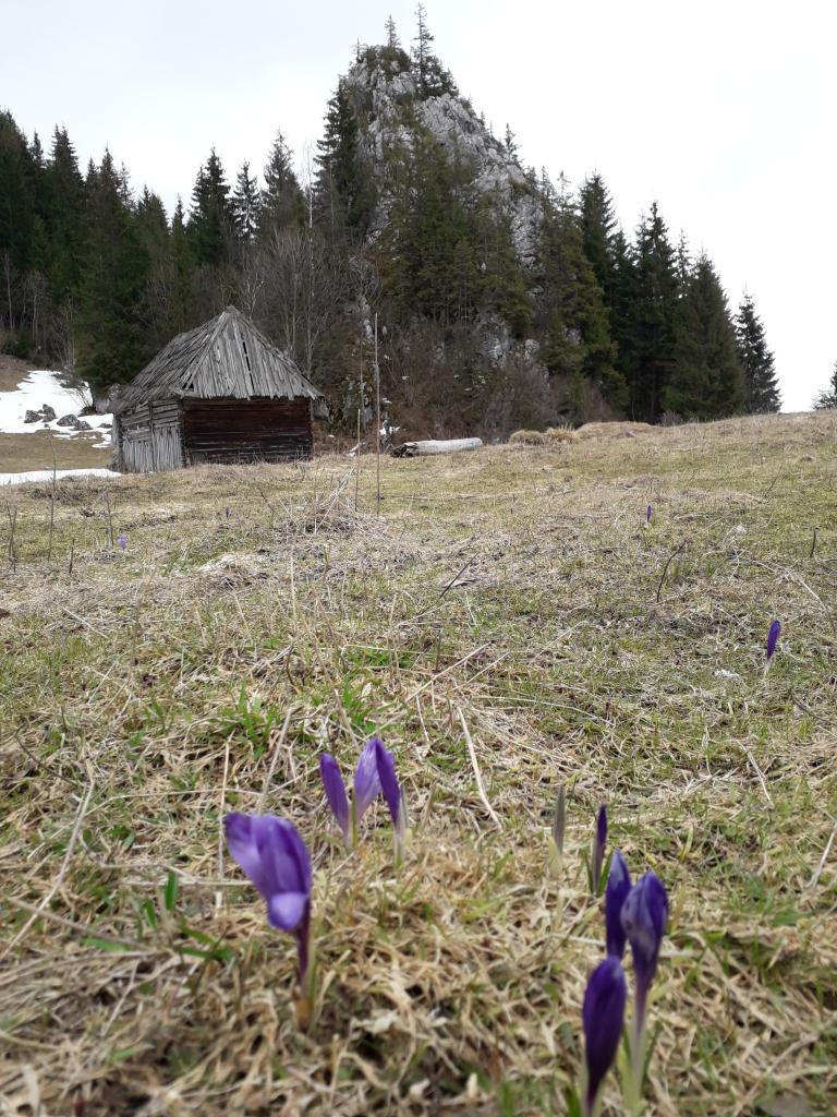 Jávárdi-túra télies tavaszban